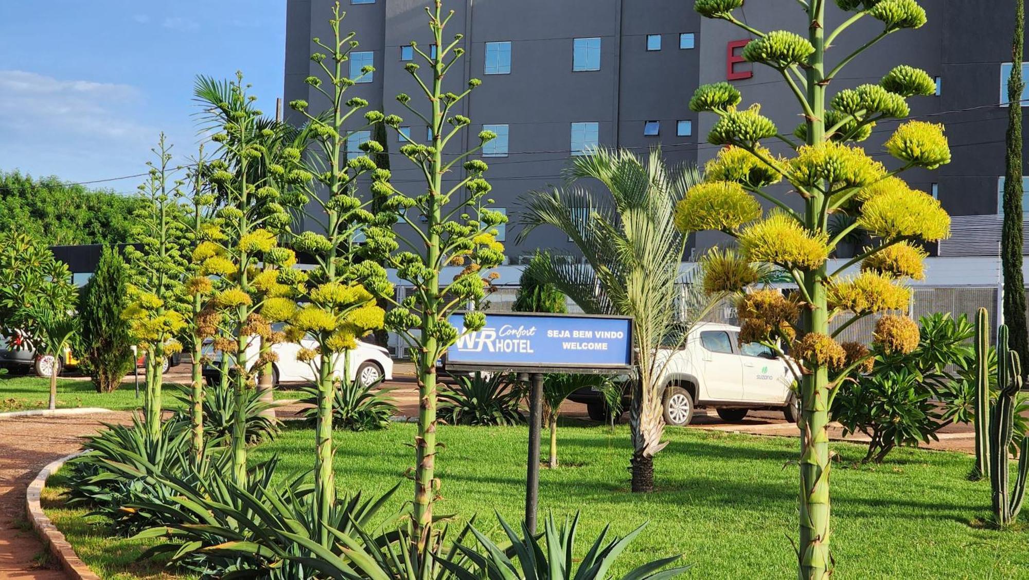 Wr Confort Hotel Campo Grande Ngoại thất bức ảnh